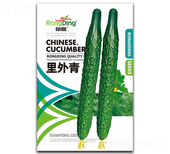 里外青-黃瓜種子-先風
