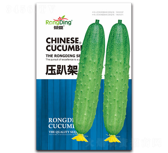 壓趴架黃瓜-黃瓜種子-先風(fēng)