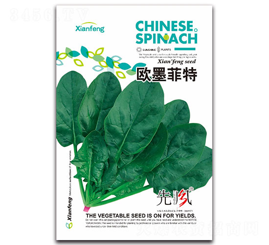 歐墨菲特-菠菜種子-先風(fēng)