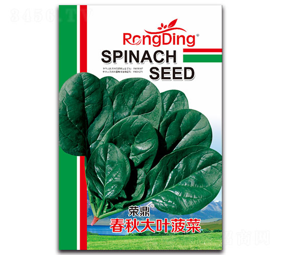 �s��������~����-���˷N��-���L(f��ng)