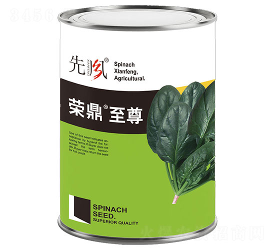 �s������-���˷N��-���L