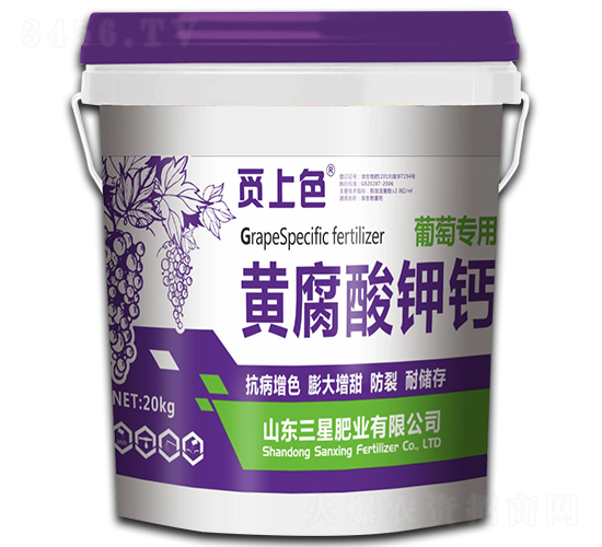 ���ь����S������}-Ғ��ɫ-���ǷʘI(y��)