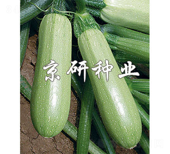 ����3̖(h��o)-�����J�N��-����