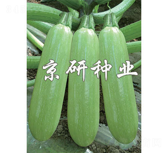 ����4̖-�����J�N��-����