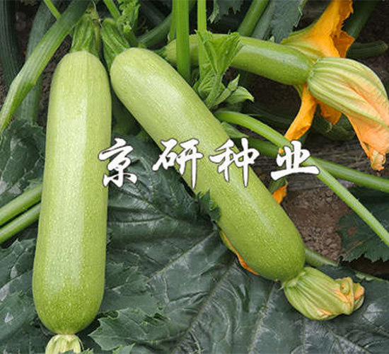 ����7̖-�����J�N��-����