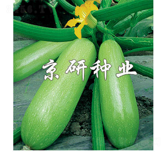 ����12̖-�����J�N��-����