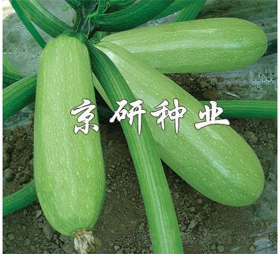 ����CRV3-�����J�N��-����