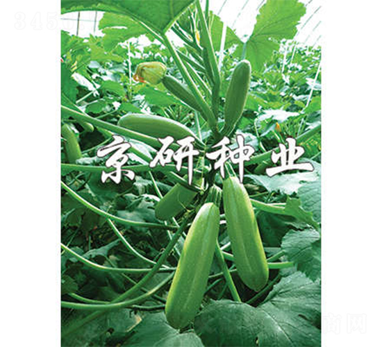 ����36-�����J�N��-����