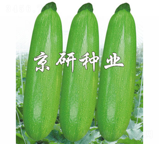 ����37-�����J�N��-����