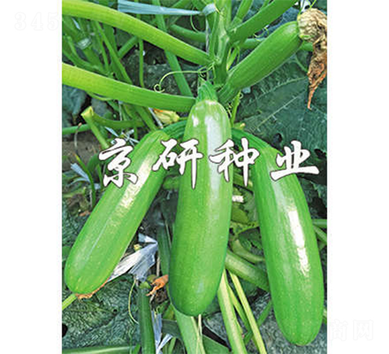 ����42̖-�����J�N��-����