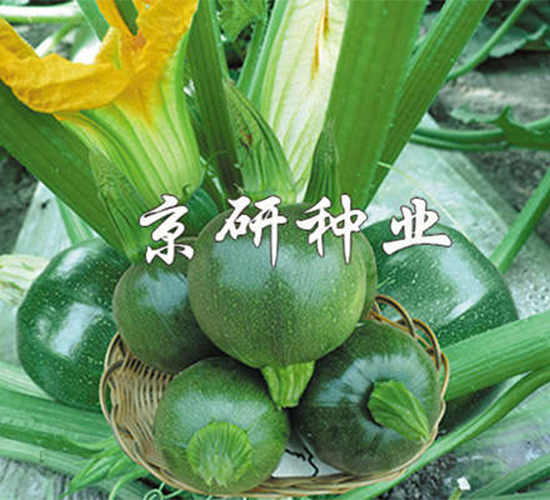 ����2̖-�����J�N��-����