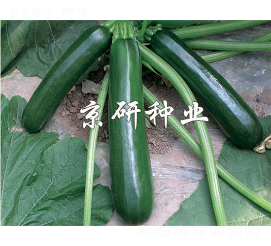 ����-�����J�N��-����