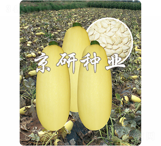 �������S1̖-�����J�N��-����