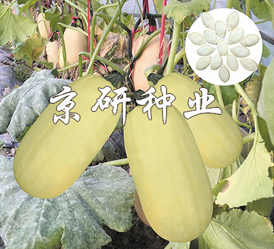 �������S2̖(h��o)-�����J�N��-����