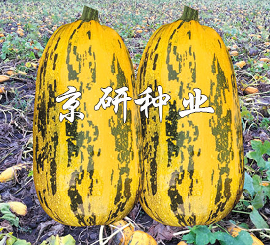 �������S3̖-�����J�N��-����