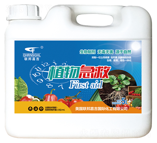 ֲ�Ｑ��-(li��n)��μ�