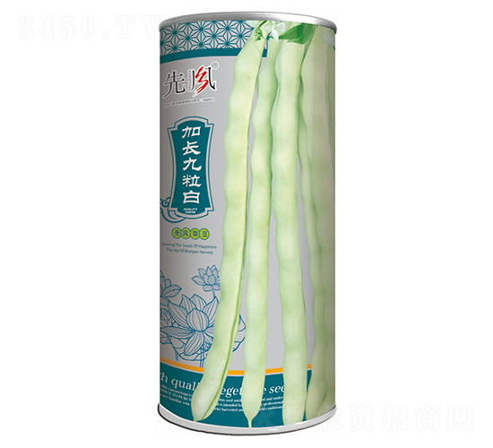 加長(zhǎng)九粒白（桶裝）-架豆種子-先風(fēng)