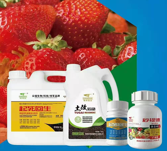 草莓紅中柱根腐病套餐-聯(lián)邦嘉吉