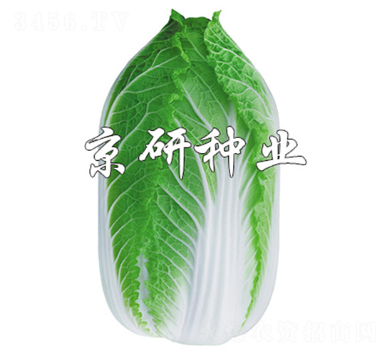 �����S3̖(h��o)-�ײ˷N��-����