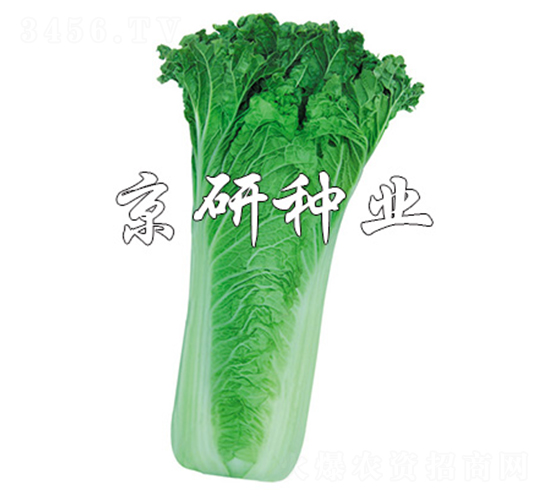 ����14-20-�ײ˷N��-����