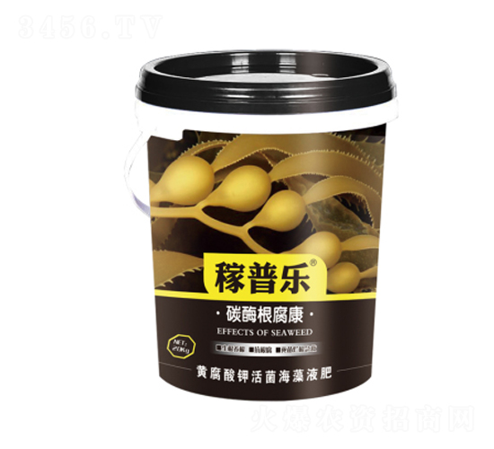 ̼ø������-���՘�(l��)-��(r��n)�ɷʘI(y��)