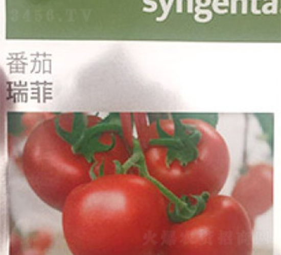 ���-���ѷN��-���A�N�I(y��)