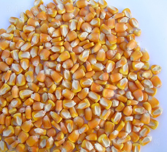 ��̩15̖-���׷N��-���r(n��ng)�l(f��)