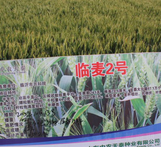 �R��2̖(h��o)-С���N��-���r(n��ng)�l(f��)