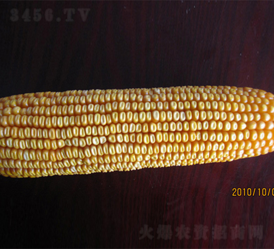 �r(n��ng)��8-���׷N��-�r(n��ng)��N�I(y��)