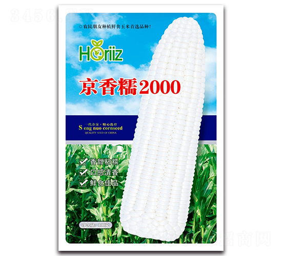 京香糯-糯玉米種子-荷瑞斯