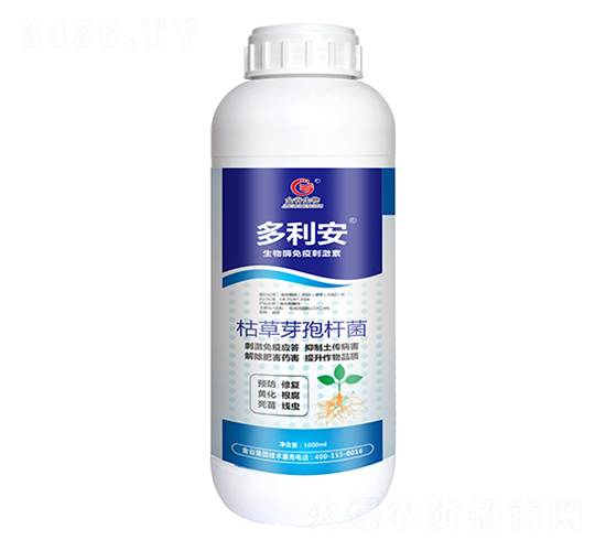 �ݲ�ѿ�ߗU��-������-�������