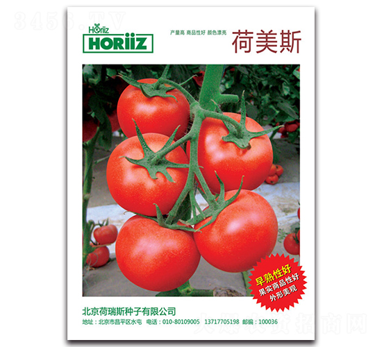 ����˹-���ѷN��-����˹