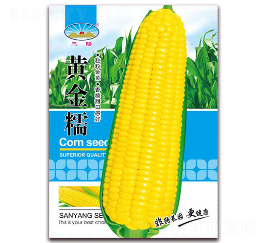 �S��Ŵ-Ŵ���׷N��-��ͷN�I(y��)