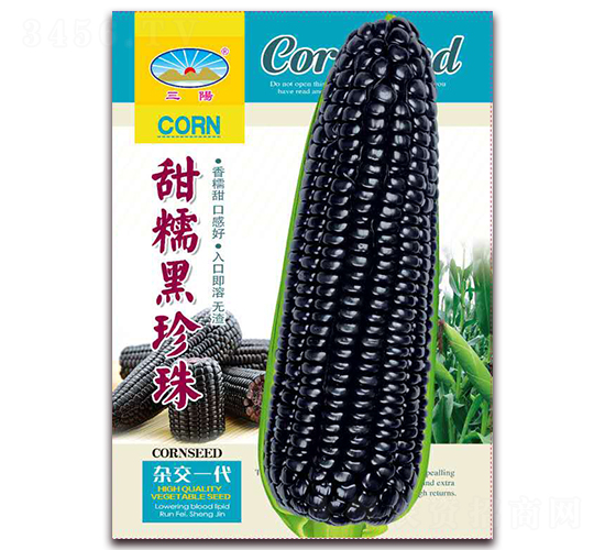 甜糯黑珍珠-糯玉米種子-天和種業(yè)