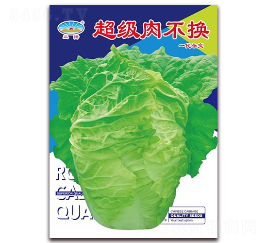 超級肉不換-白菜種子-天和種業(yè)