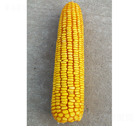 ���202-���׷N��-���N�I(y��)