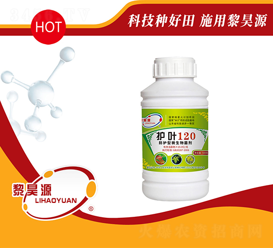 防護(hù)型微生物菌劑-護(hù)葉120-黎昊源