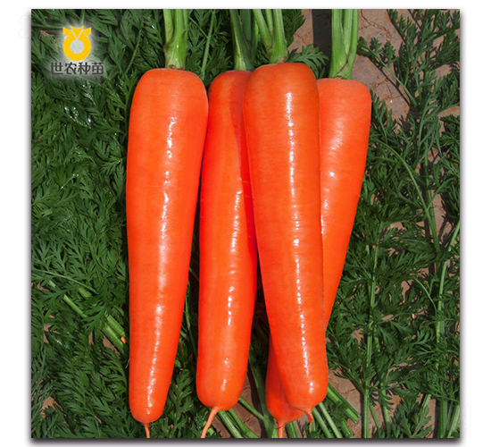 �￨��-���}���N��-���r(n��ng)�N��