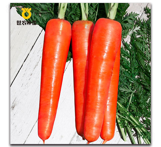 ��t����-���}���N��-���r(n��ng)�N��