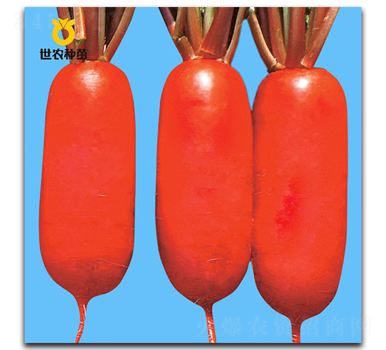 ���t-�}���N��-���r(n��ng)�N��