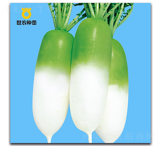 ���r(n��ng)806-�}���N��-���r(n��ng)�N��