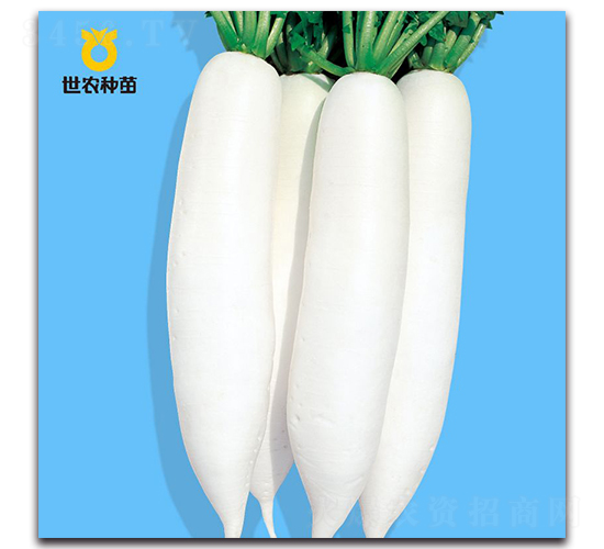 ����-�}���N��-���r(n��ng)�N��