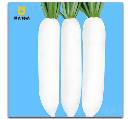 ������-�}���N��-���r(n��ng)�N��