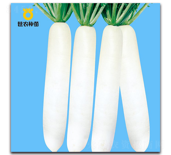 YR�״�-�}���N��-���r(n��ng)�N��