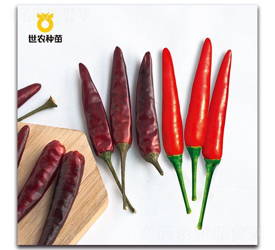 ���r(n��ng)̩��-�����N��-���r(n��ng)�N��