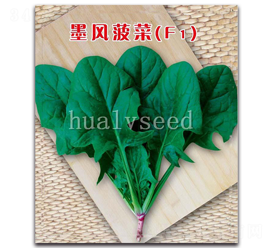 墨風菠菜F1-菠菜種子-華綠