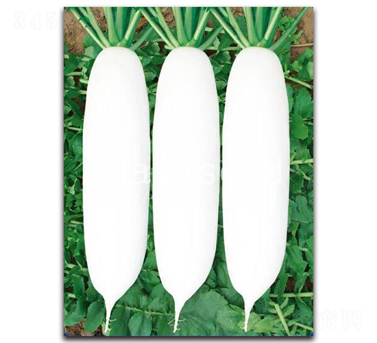 �������-�}���N��-�A�G