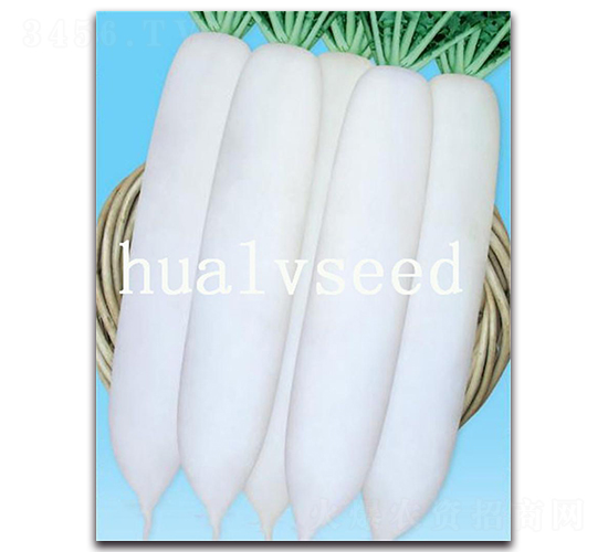 �����}��8̖(h��o)-�}���N��-�A�G