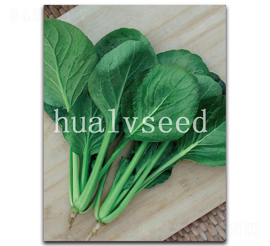 �A�GС�ɲ�-��˷N��-�A�G