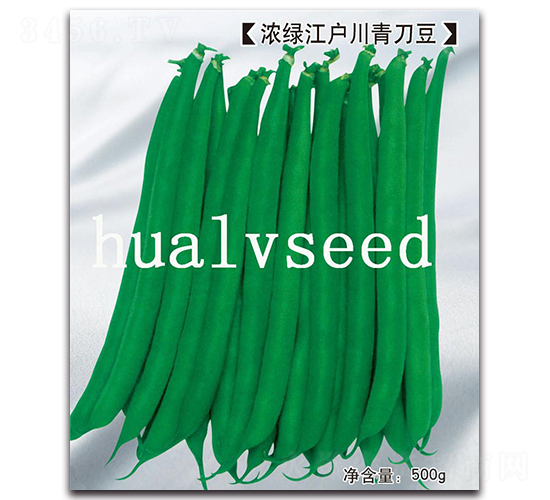 濃綠江戶川青刀豆-青刀豆種子-華綠